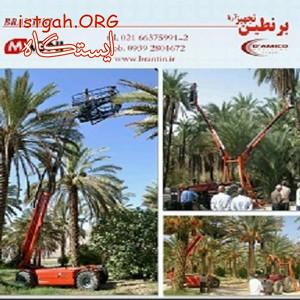 بالا بر خرما برنطین