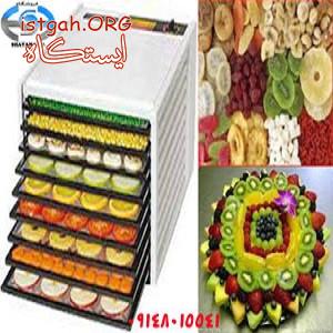 دستگاه چیپس و خشک کن میوه فروشگاه شایان کالا