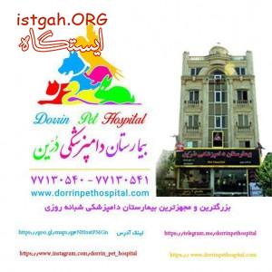بیمارستان دامپزشکی ، پت شاپ شبانه روزی درین