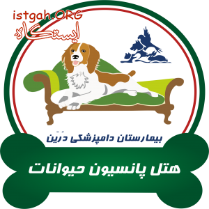 مرکز نگهداری و پانسیون حیوانات خانگی دامپزشکی درین