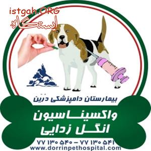 واکسیناسیون و انگل زدایی حیوانات خانگی دامپزشکی درین