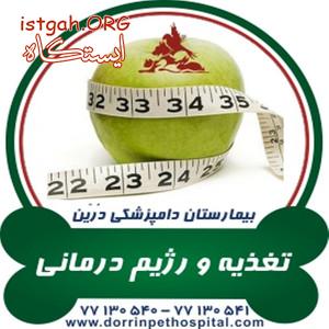 کلینیک تغذیه حیوانات خانگی و پرندگان دامپزشکی درین