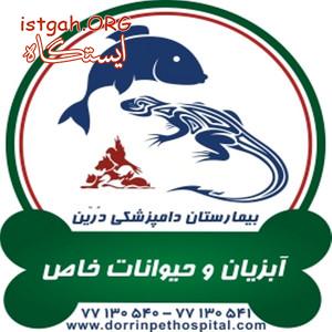 کلینیک اگزوتیک حیوانات خاص خانگی دامپزشکی درین