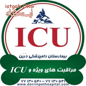 مراقبتهای ویژه حیوانات خانگی و ICU دامپزشکی درین