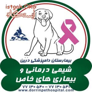 کلینیک شیمی درمانی حیوانات خانگی دامپزشکی درین