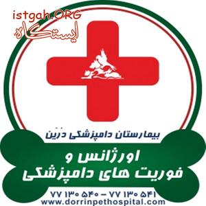 اورژانس حیوانات خانگی فوریتهای دامپزشکی بیمارستان درین