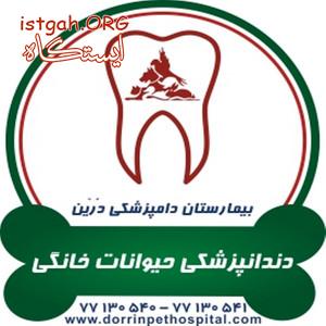 دندانپزشکی حیوانات خانگی بیمارستان دامپزشکی درین