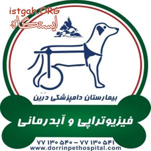 فیزیو تراپی حیوانات خانگی و آبدرمانی دامپزشکی درین