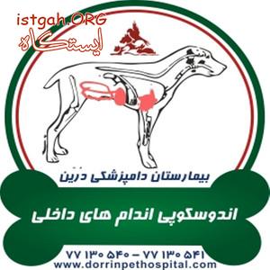 اندوسکوپی اندامهای داخلی حیوانات خانگی دامپرشکی درین