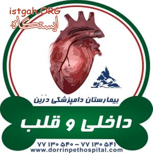 کلینیک داخلی و قلب حیوانات خانگی دامپزشکی درین