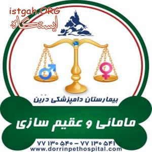 کلینیک عقیم سازی ومامایی حیوانات خانگی دامپزشکی درین