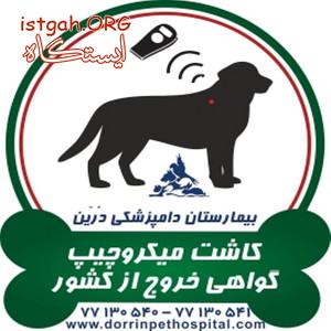 کاشت و تزریق میکروچیپ حیوانات خانگی دامپزشکی درین