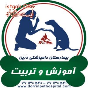 آموزش و تربیت حیوانات خانگی بیمارستان دامپزشکی درین