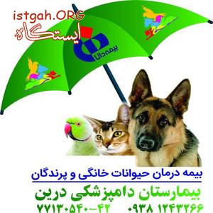 بیمه حیوانات خانگی و پرندگان ،در دامپزشکی درین