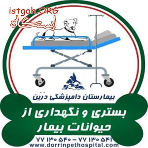 بستری و نگهداری حیوانات خانگی بیمارستان دامپزشکی درین