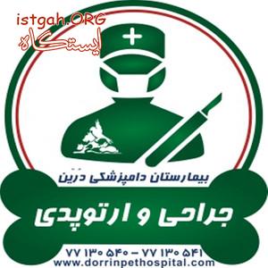 جراحی و ارتوپدی حیوانات خانگی دامپزشکی درین