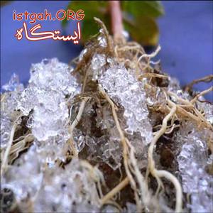 سوپر جاذبه