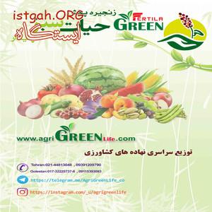زنجیره پخش حیات سبز پایدار