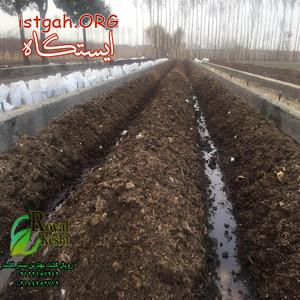 کود ورمی کمپوست