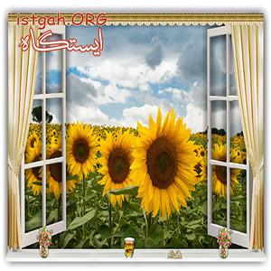 فروشگاه اینترنتی تابلوهای تزیینی دیواری(خانه زیبا)