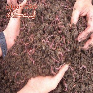 خرید کود ورمی کمپوست