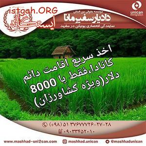 اخذ اقامت دائم کانادا