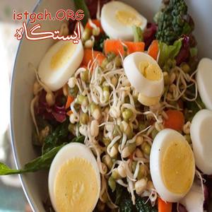 اتاق کشت جوانه های خوراکی گندم و سایر جوانه ها