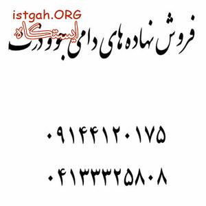 فروش نهاده های دامی