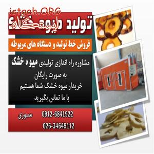 طراحی و ساخت خط تولید میوه خشک