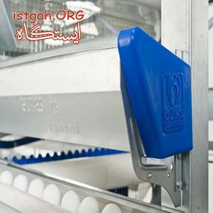 فروش قفس مرغ تخم گذار و قفس بلدرچین:
