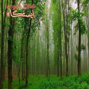 تور یک روزه گیسوم ویسادار