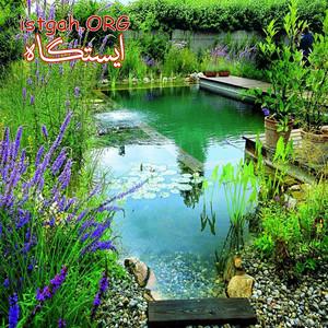 مجری تخصصی تورهای گرجستان،باکو و ارمنستان