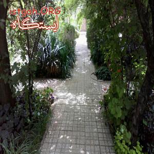 تور مشهد با نرخی باورنکردنی