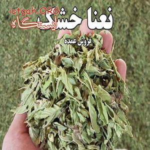 فروش عمده نعنا برگ خشک سالم و بلغور درجه یک رنگ چمنی
