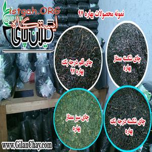 فروشگاه اینترنتی گیلان چای