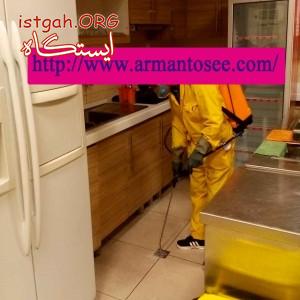 سمپاشی تضمینی اماکن و باغات با مجوز وزارت بهداشت