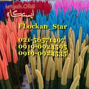 قیمت مخمل پاش 02156571497فلوکان استار