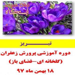 آموزش کشت زعفران گلخانه ای و فضای باز