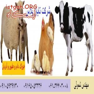 فروش خوراک دام وطیور وآبزیان