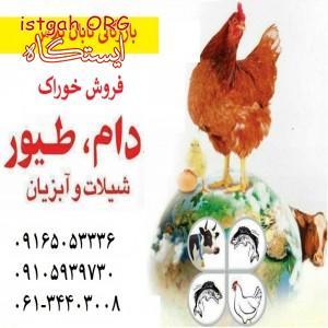 فروش خوراک دام-طیور وشیلات