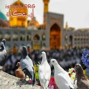 تور مشهد مقدس