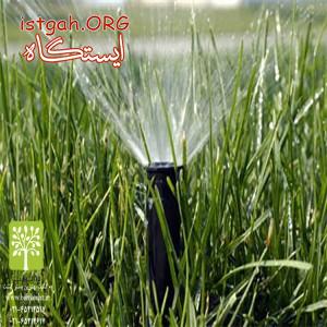 طراحی و اجرای فضای سبز و انواع سیستم های آبیاری