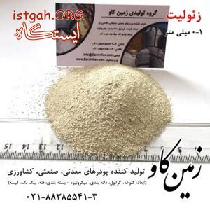 فرآیند تأثیر زئولیت در افزایش شیردهی گاو (Zeolite)