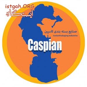 شرکت صنايع بسته بندی کاسپین نگینی در صنعت ایران